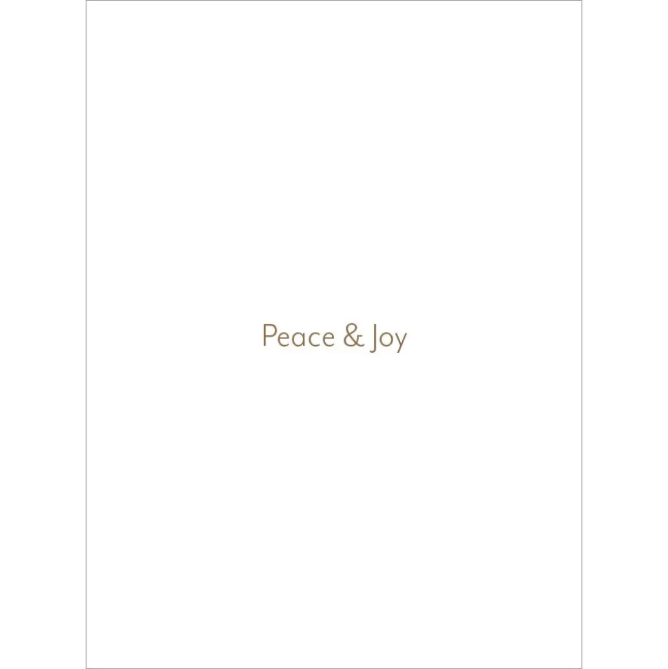 Holiday Cards*The Met Store Earle: Blue Doves of Peace Holiday Cards