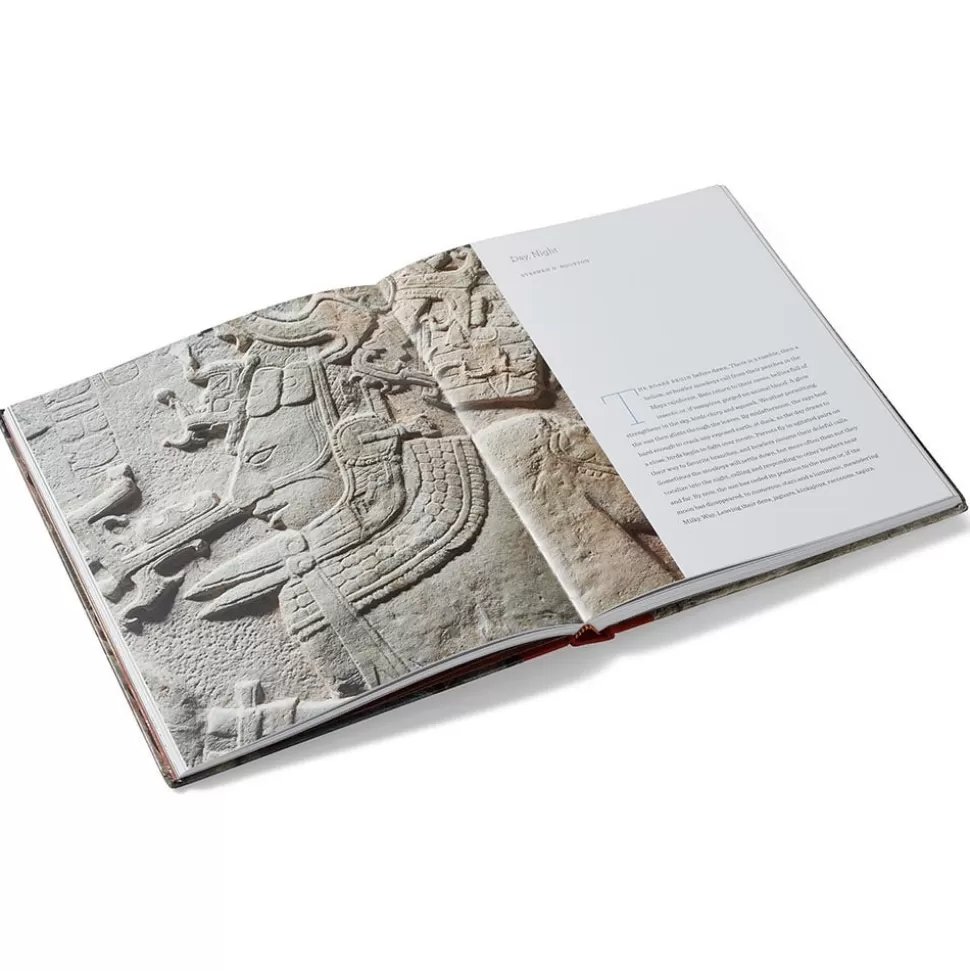 Met Publications | Exhibition Catalogues*The Met Store Lives of the Gods: Divinity in Maya Art