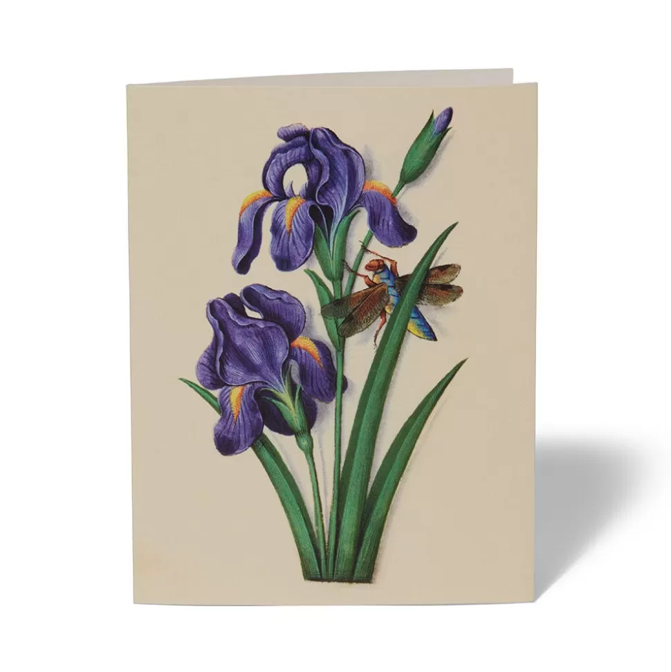 Notecards & Correspondence*The Met Store The Met Cloisters Garden Notecards