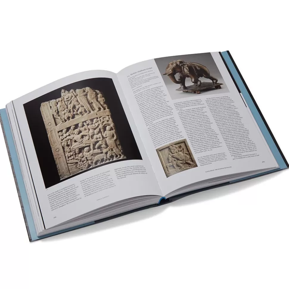 Met Publications | Exhibition Catalogues*The Met Store Tree & Serpent: Early Buddhist Art in India